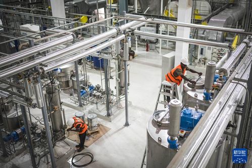 共话中国经济新机遇 中企助力西非可可王国产业升级